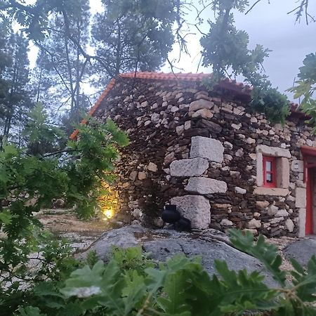 Villa Casa Do Feitor - Douro - Quinta Da Cabrida Sendim  Exterior foto