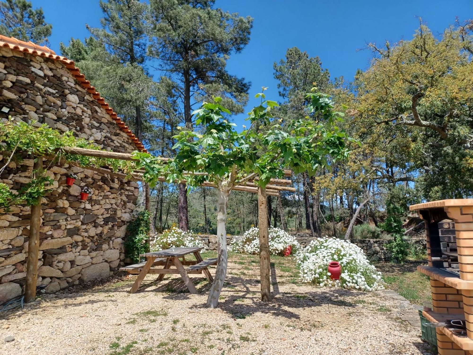 Villa Casa Do Feitor - Douro - Quinta Da Cabrida Sendim  Exterior foto