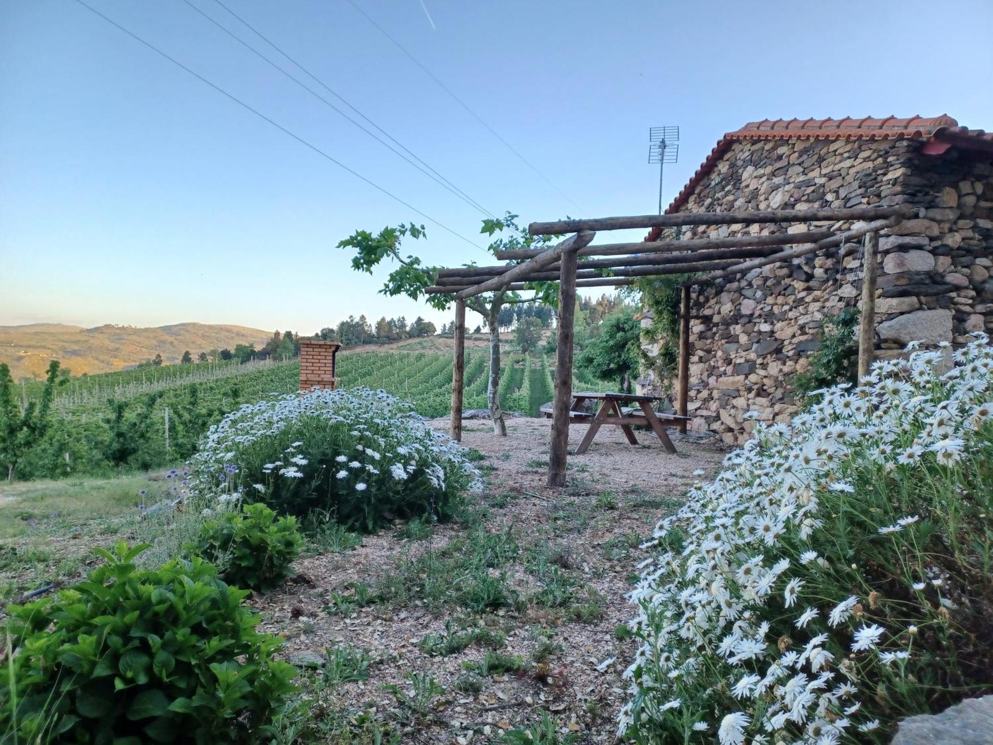 Villa Casa Do Feitor - Douro - Quinta Da Cabrida Sendim  Exterior foto