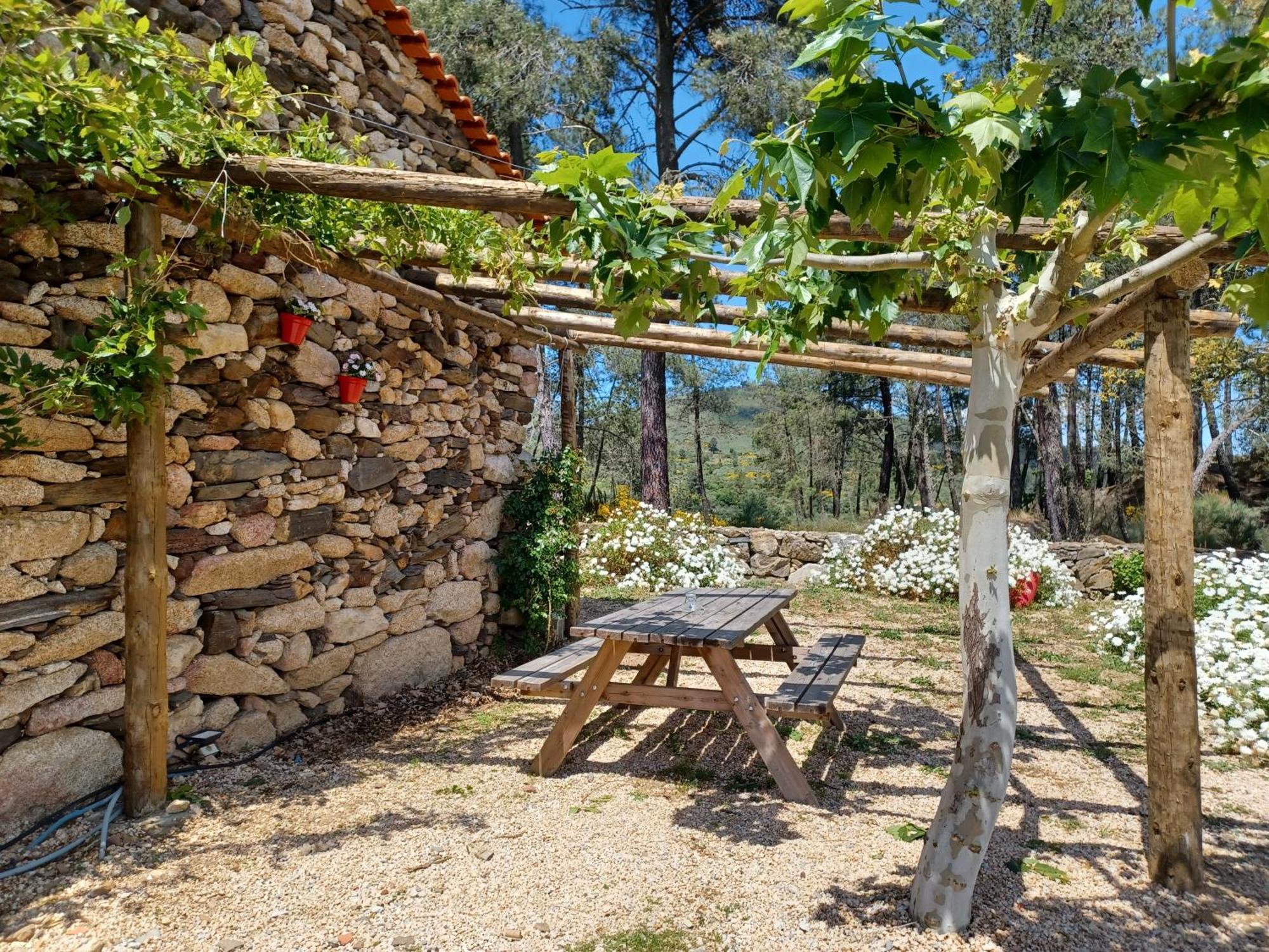 Villa Casa Do Feitor - Douro - Quinta Da Cabrida Sendim  Exterior foto