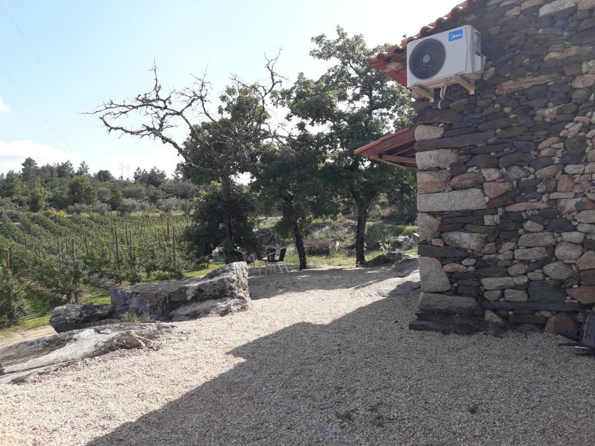 Villa Casa Do Feitor - Douro - Quinta Da Cabrida Sendim  Exterior foto